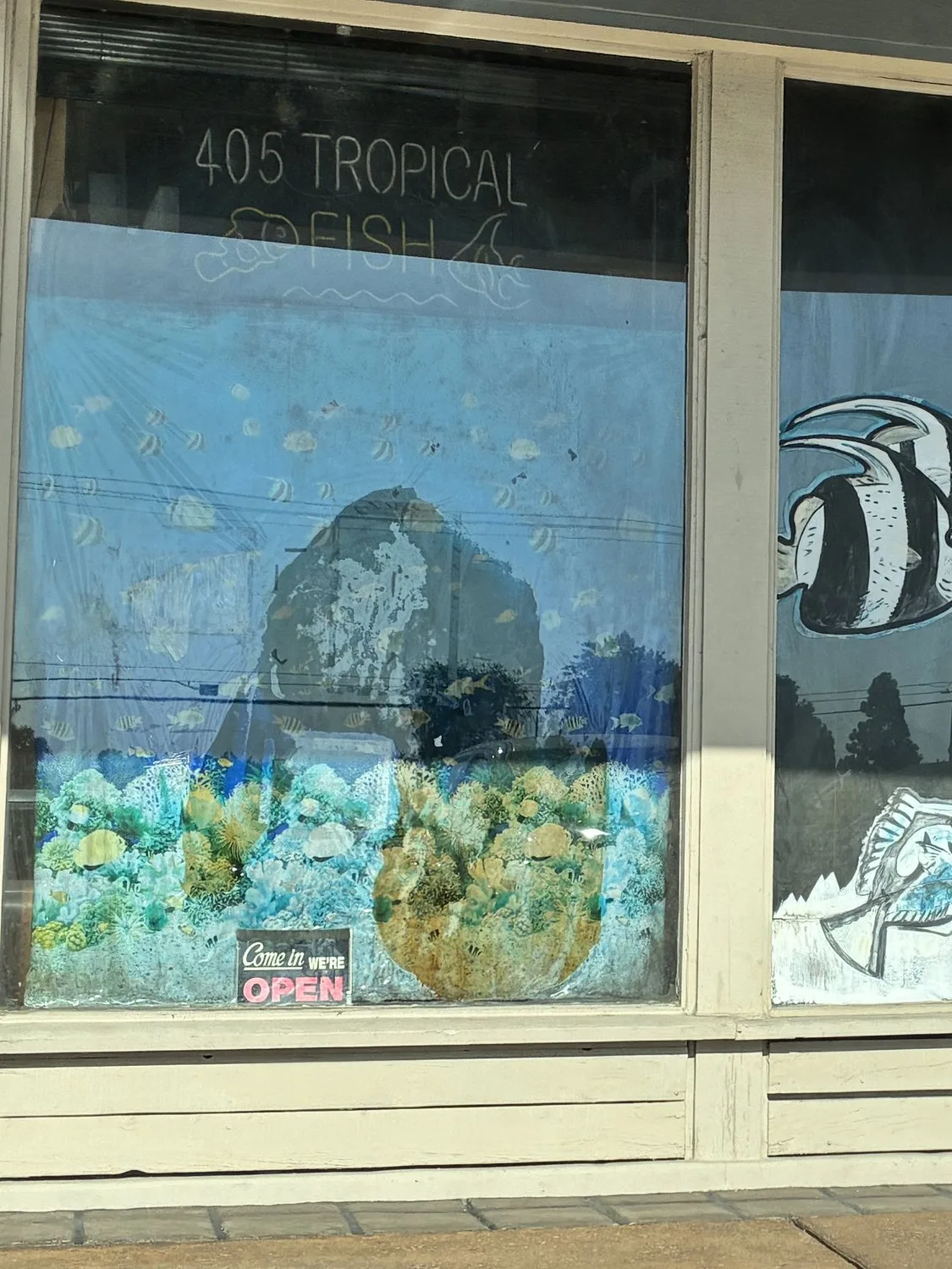 Hand-painted fish on the front windows of 405 Tropical Fish